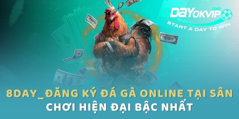 8DAY_Đăng Ký Đá Gà Online Tại Sân Chơi Hiện Đại Bậc Nhất