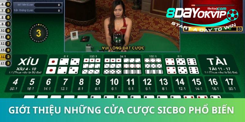 8DAY_Luật Chơi Sicbo: Nguyên Tắc Cơ Bản Dành Cho Cược Thủ 