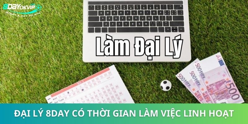 Đại lý 8DAY