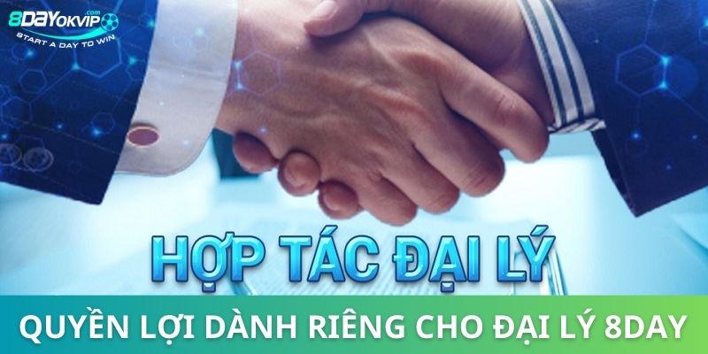 Đại lý 8DAY