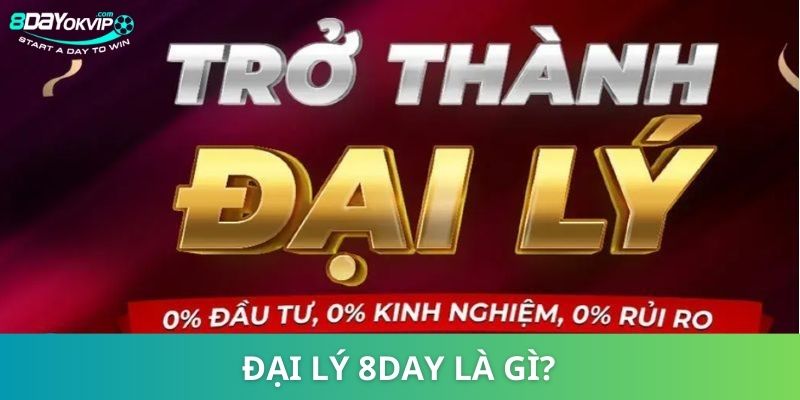 Đại lý 8DAY